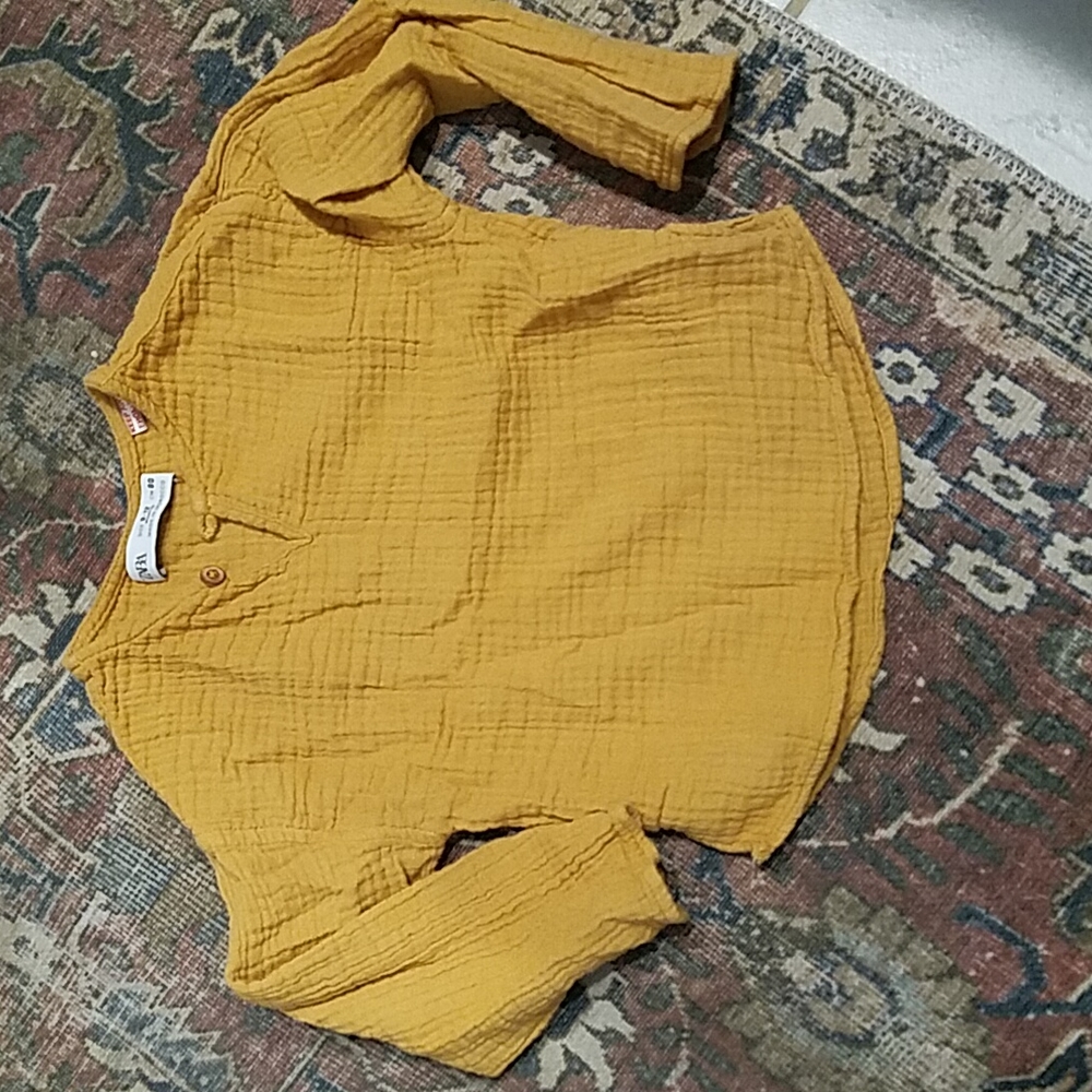 Zara muslin top
